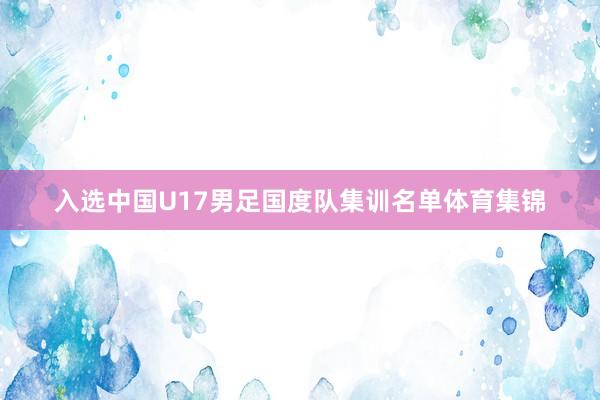 入选中国U17男足国度队集训名单体育集锦