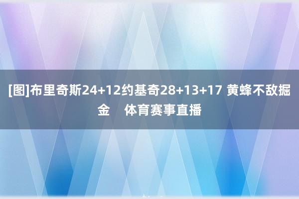 [图]布里奇斯24+12约基奇28+13+17 黄蜂不敌掘金    体育赛事直播