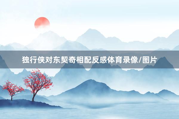 独行侠对东契奇相配反感体育录像/图片