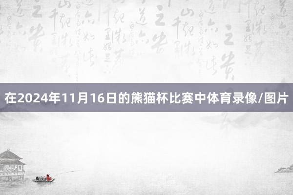 在2024年11月16日的熊猫杯比赛中体育录像/图片