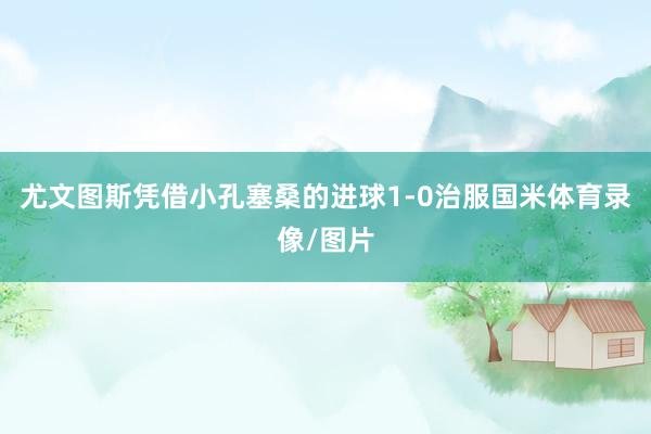 尤文图斯凭借小孔塞桑的进球1-0治服国米体育录像/图片