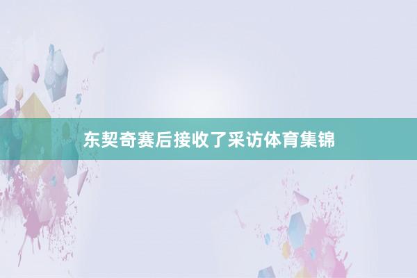 东契奇赛后接收了采访体育集锦
