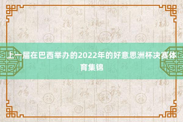 上一届在巴西举办的2022年的好意思洲杯决赛体育集锦