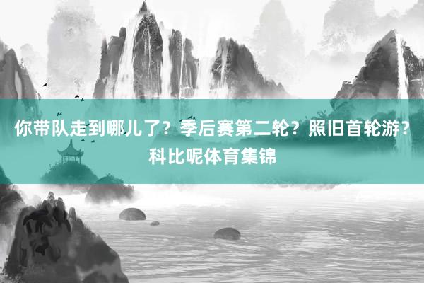你带队走到哪儿了?季后赛第二轮?照旧首轮游?科比呢体育集锦