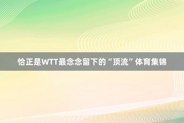 恰正是WTT最念念留下的“顶流”体育集锦