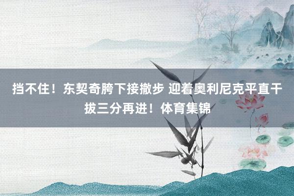 挡不住！东契奇胯下接撤步 迎着奥利尼克平直干拔三分再进！体育集锦
