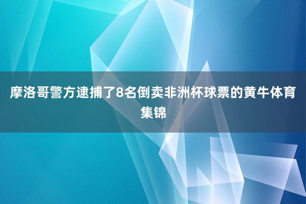 摩洛哥警方逮捕了8名倒卖非洲杯球票的黄牛体育集锦