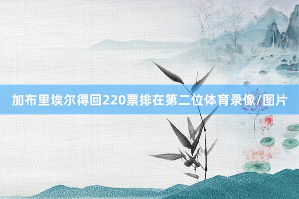 加布里埃尔得回220票排在第二位体育录像/图片