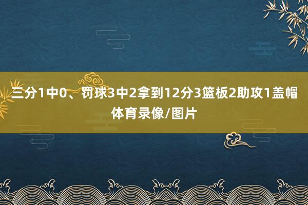 三分1中0、罚球3中2拿到12分3篮板2助攻1盖帽体育录像/图片