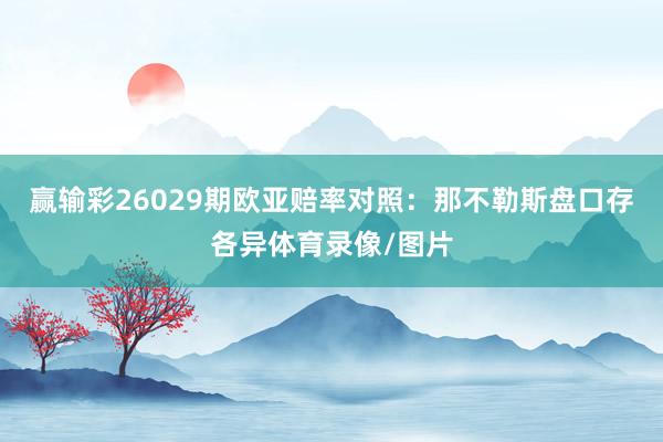 赢输彩26029期欧亚赔率对照：那不勒斯盘口存各异体育录像/图片