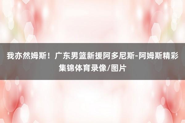 我亦然姆斯!广东男篮新援阿多尼斯-阿姆斯精彩集锦体育录像/图片