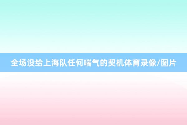 全场没给上海队任何喘气的契机体育录像/图片